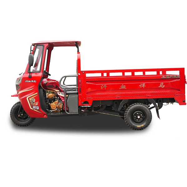 250cc Enclosed Cargo Tricycle factory
