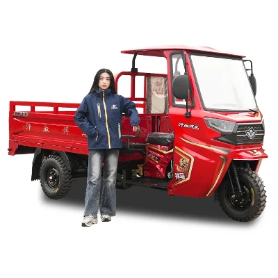 250cc Enclosed Cargo Tricycle 250cc Enclosed Cargo Tricycle