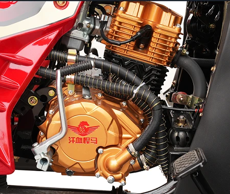 250cc Enclosed Cargo Tricycle 250cc Enclosed Cargo Tricycle