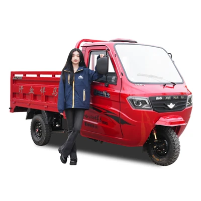 V300 水冷貨物三輪車-